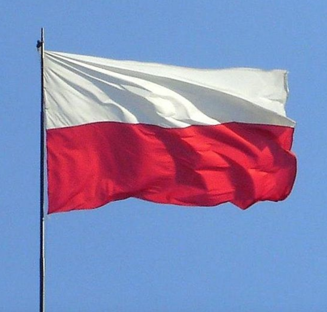 Aborto, la Polonia vuole tutelare i bambini malformati 1